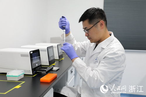 浙江不斷“漲粉”的魅力解析與技術(shù)支持